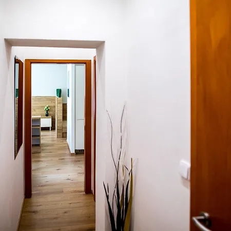 Nest Vibe Slovákova * Brno