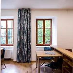 Nest Vibe Slovákova *