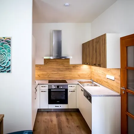 Nest Vibe Slovakova Brünn