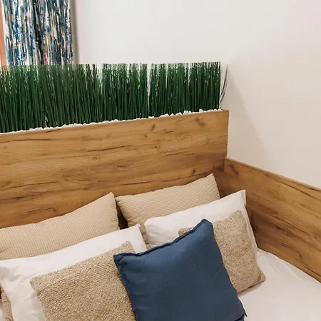 Nest Vibe Slovakova Brno