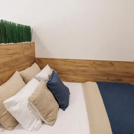 Nest Vibe Slovakova Brno