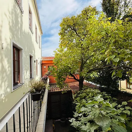 Nest Vibe Slovakova Brünn