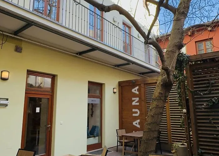 Nest Vibe Slovakova *