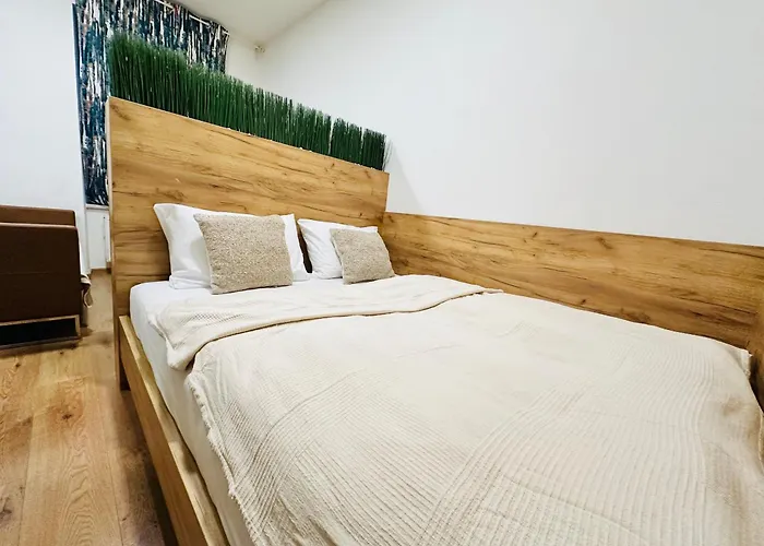 Nest Vibe Slovakova