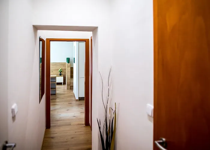 Nest Vibe Slovakova * برنو